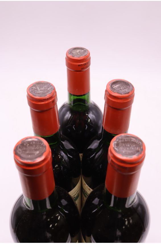 Pavie 1985
