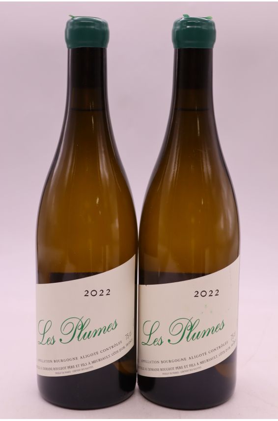 Rougeot Bourgogne Aligoté Les Plumes 2022