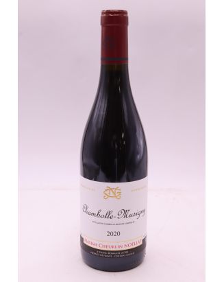 Maxime Cheurlin Noellat Chambolle Musigny 2020