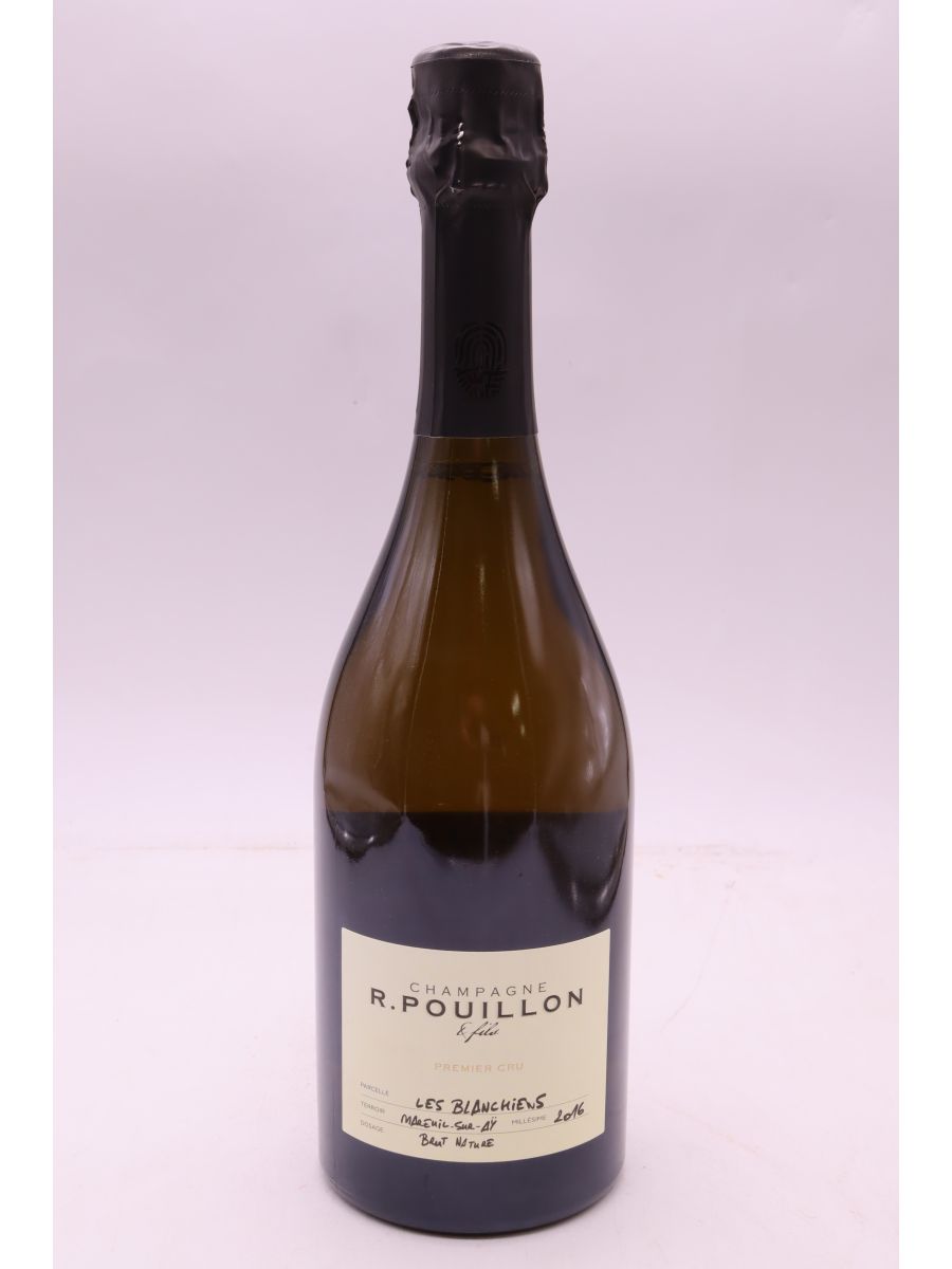 image du vin r Pouillon 1er Cru les Blanchiens Brut Nature 2016
