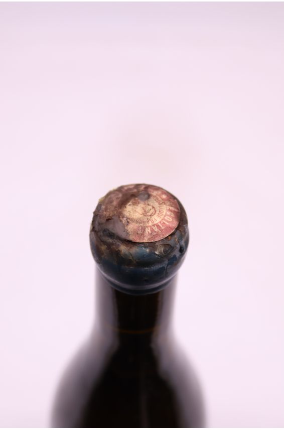 Stéphane Bernaudeau Les Nourrissons 2012 - PROMO -5% !