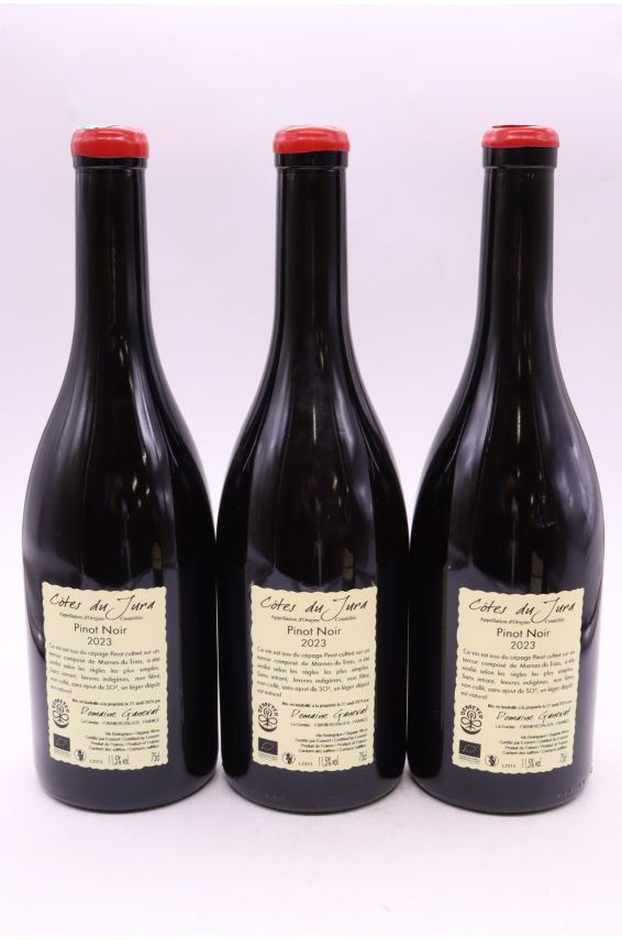Jean François Ganevat Côtes du Jura Pinot Noir Les Grandes Teppes 2023