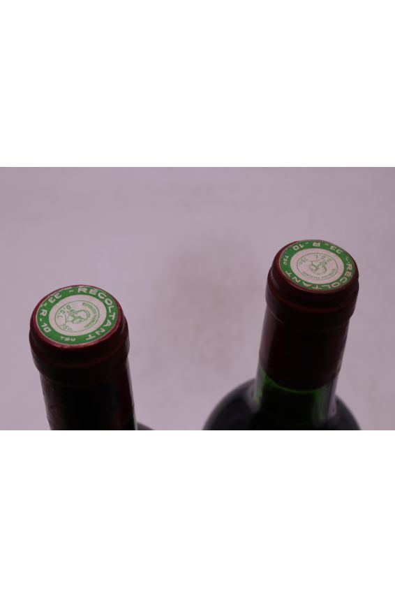 Terrey Gros Cailloux 1982