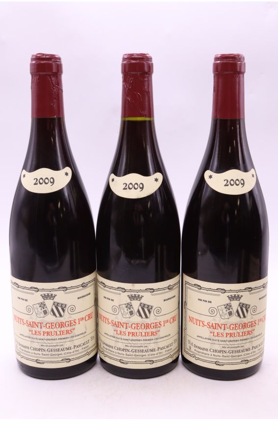 Chopin Gesseaume Nuits Saint Georges 1er cru Les Pruliers 2009