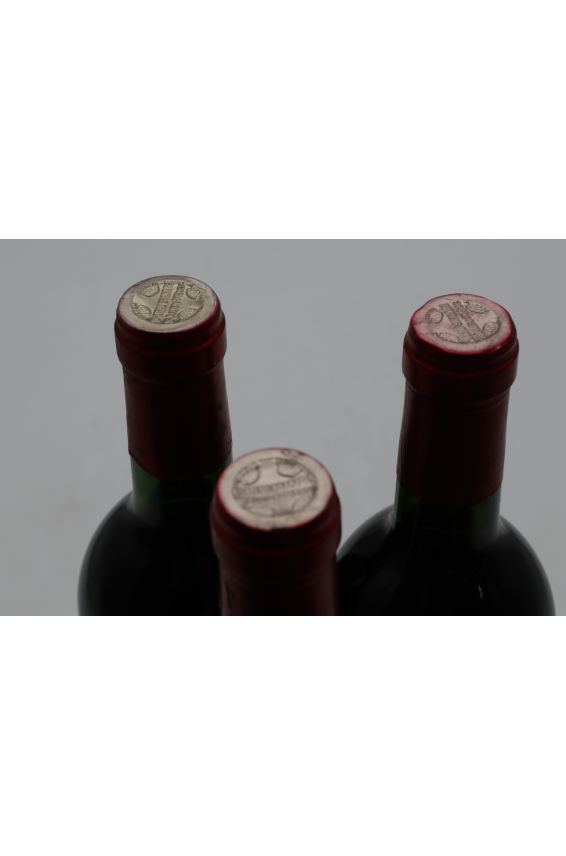 Branaire Ducru 1989