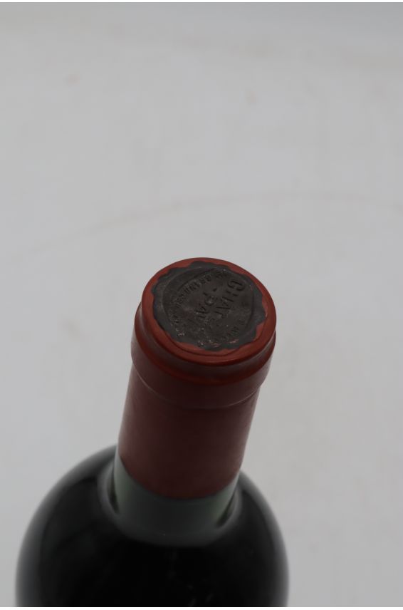 Pavie 1985