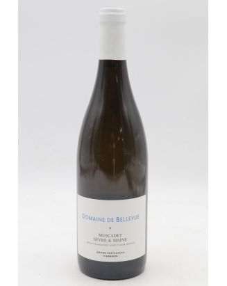Jérôme Bretaudeau Muscadet 2020