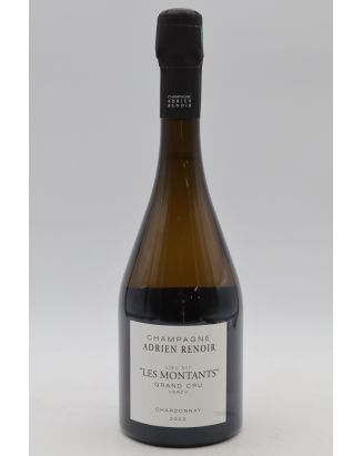 Adrien Renoir Verzy Grand cru Les Montants 2022