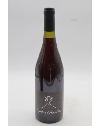 L'Arbre Blanc Les Petites Orgues 2015