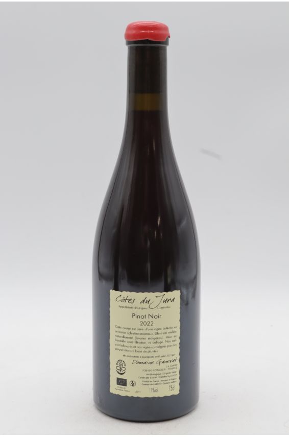 Jean François Ganevat Côtes du Jura Pinot Noir En Billat 2022 tinto