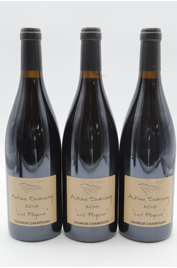 Antoine Sanzay Saumur Champigny Les Poyeux 2016