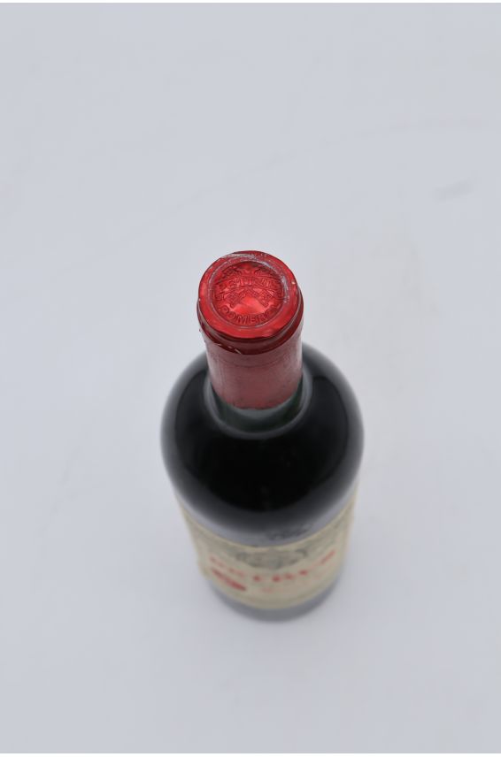 페트뤼스 1982