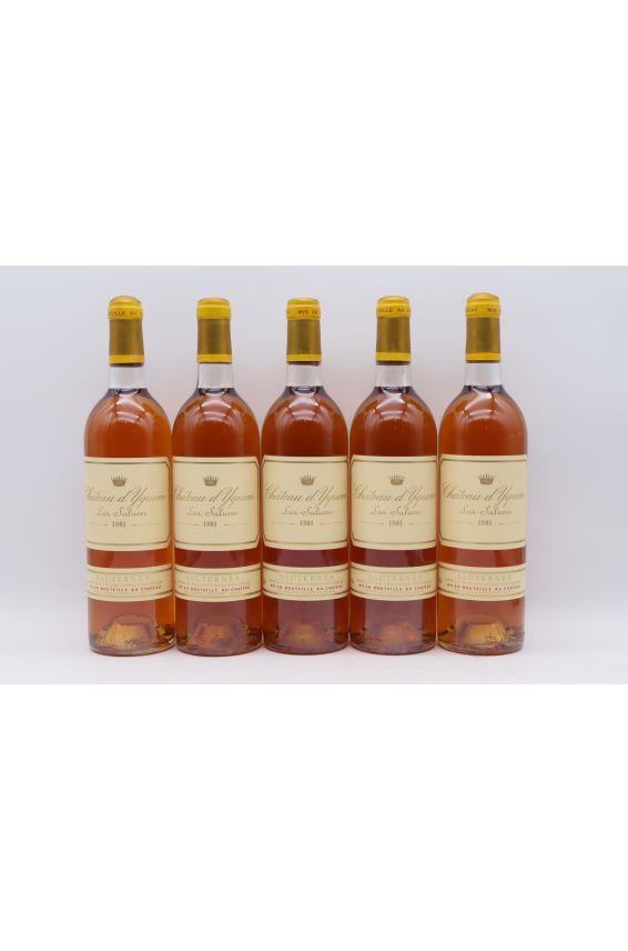 Yquem 1981