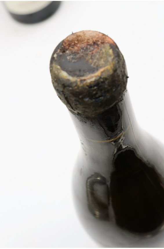 Stéphane Bernaudeau Les Nourrissons 2011 -5% DISCOUNT !