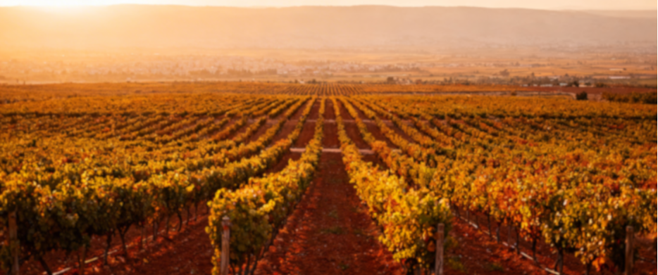 Liban