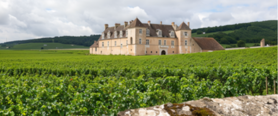 Grands Crus Côte de Nuits