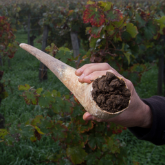 Grandi Vini Biodinamici