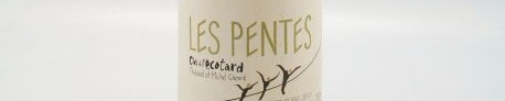 La photo montre une bouteille de vin du domaine Clos de l'Ecotard dans la Loire
