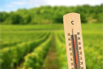 extreme weather condition