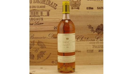 Yquem: ein außergewöhnlicher Sauternes