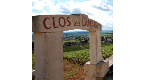 I Grandi Cru di Borgogna
