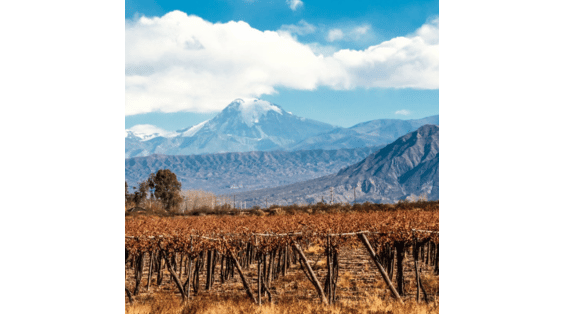 Cile e Argentina