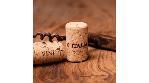 Barolo e Barbaresco