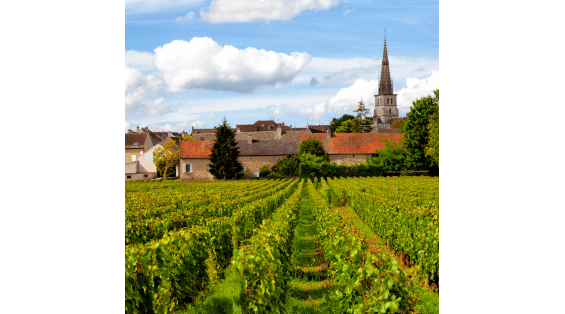 Meursault, Chassagne e Puligny Montrachet