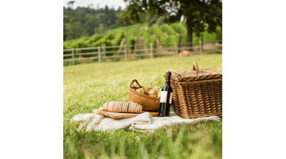 Degustazione Picnic