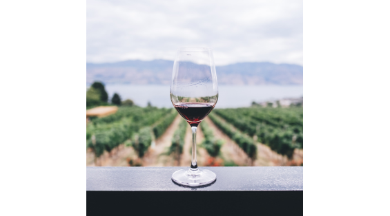Top 10 dei vini rossi da bere durante l'estate