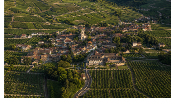 Les 15 meilleurs Pommard : Découvrez les vins de Bourgogne